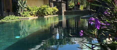 piscine privée de la villa 