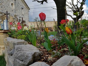 Avril et les tulipes