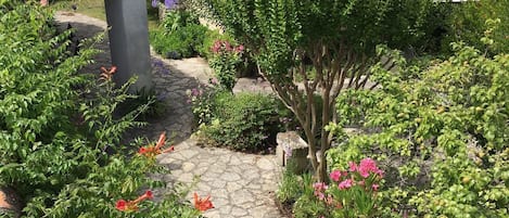 Vue du jardin et des digues depuis les chambres