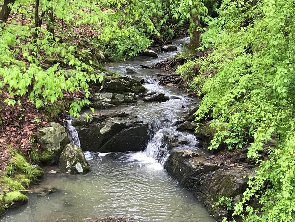 Our Very Own Waterfall & Creek that runs under the House