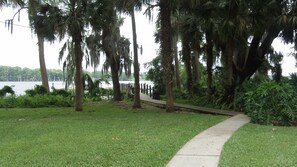 Trail to Docks-Porch View