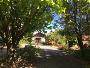 Driveway to property with plentiful off street parking 
