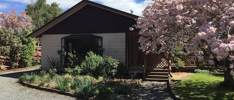 Chris's Cabin in Spring