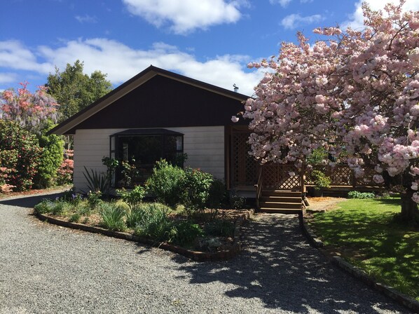 Chris's Cabin in Spring
