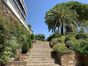 Végétation, Arbre, Jardin, Propriété, Palmier, Botanique, Jardin Botanique, Ciel, Arecales, Plante