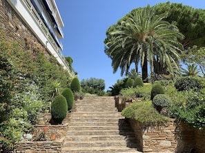 Vegetation, Tree, Garden, Property, Palm Tree, Botany, Botanical Garden, Sky, Arecales, Plant