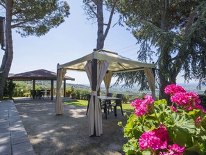 Gazebo, Überdachung, Pavillon, Pergola, Blume, Frühling, Schatten, Pflanze, Outdoor Struktur, Baum