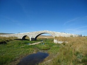 PUENTE ROMANO "LAS MERINAS"