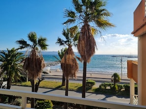 Acqua, Cielo, Pianta, Giorno, Azzurro, Albero, Shade, Costiera E Morfologie Oceanic, Arecales, Spiaggia