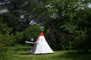 Tipi