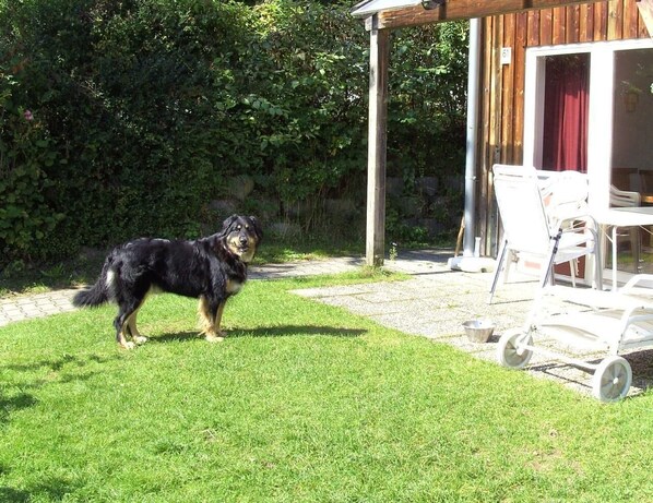 Terrasse und Garten mit Umzäunung spez. für unsere vierbeinigen Gäste