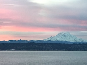 Mt Rainier from the bluff above Puget Sound.