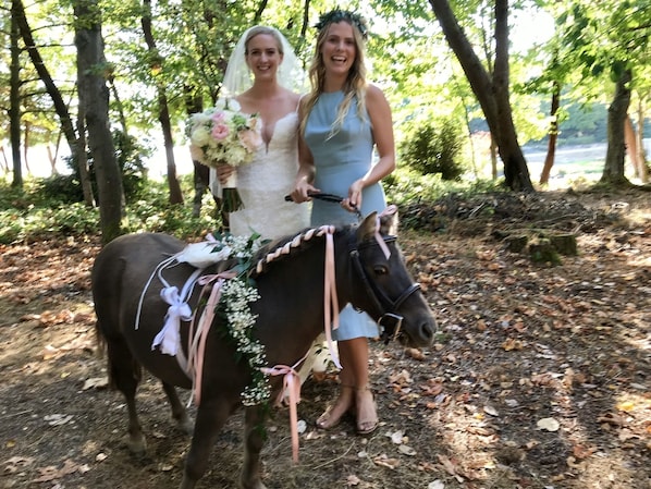 Starbuck as ring bearer ( McCallor Alexander wedding)