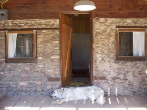 Yes, your dog is welcome if it is under control - can't go in the horse pens.