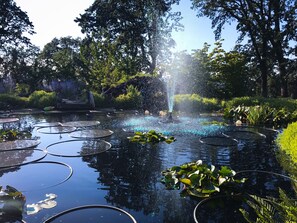 Koi pond and fountain