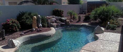 Tropical backyard
