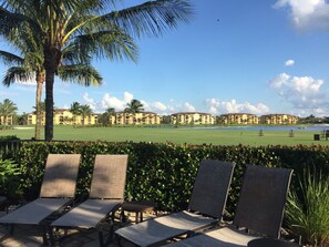 View of condo buildings from main pool
