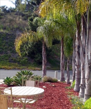 View from Living room and outdoor area