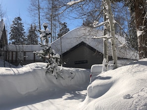 Home after a heavy snow
