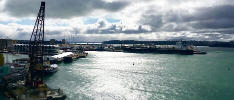 Auckland City of Sails