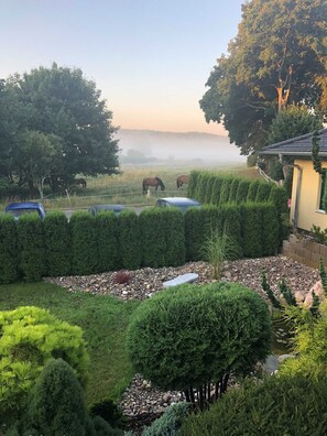 Ausblick