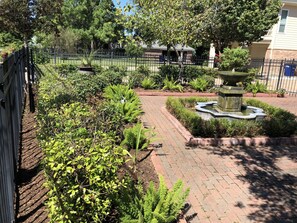 Garden at front of the house