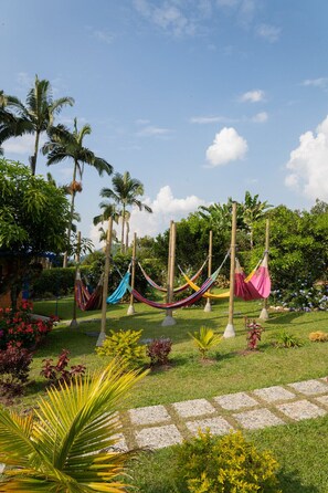 Hammock área