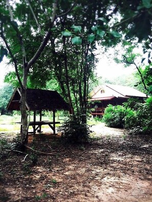 Typical Homestay Among Nature !!