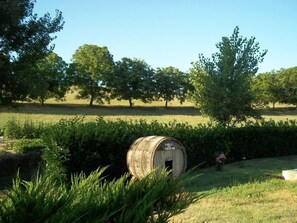 Garden, Park