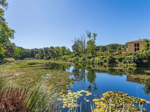 Blue, Water, Body Of Water, Green, Water Resources, Nature, Natural Environment, Natural Landscape, Vegetation, Watercourse