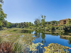 Blue, Water, Body Of Water, Green, Water Resources, Nature, Natural Environment, Natural Landscape, Vegetation, Watercourse