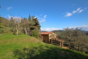 Building Exterior, Garden