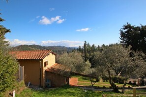 Building Exterior, Garden