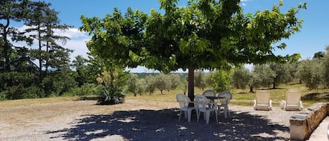 Jardines del alojamiento