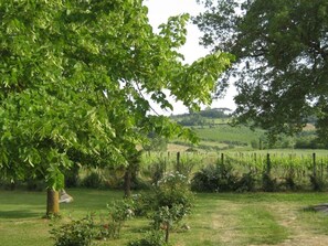 view over garden and vineyards