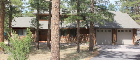 Ponderosa Pines