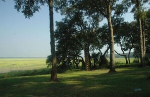 View of marsh 