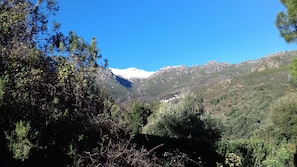 vue de la terrasse