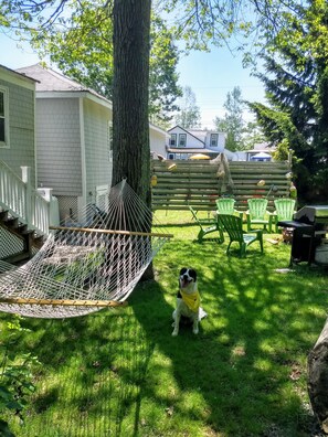 Private Yard ..Meet Huckleberry Finn:)