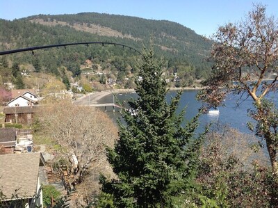 Beach Front Cottage in Maple Bay