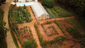 Farm fields and greenhouse. Organic produce available May-Oct with fruit u-picks