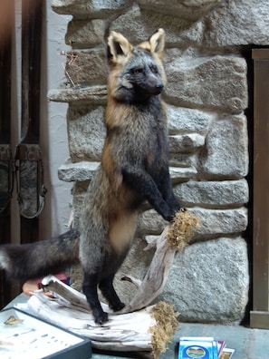 One of many educational exhibits re Cascade wildlife and history...