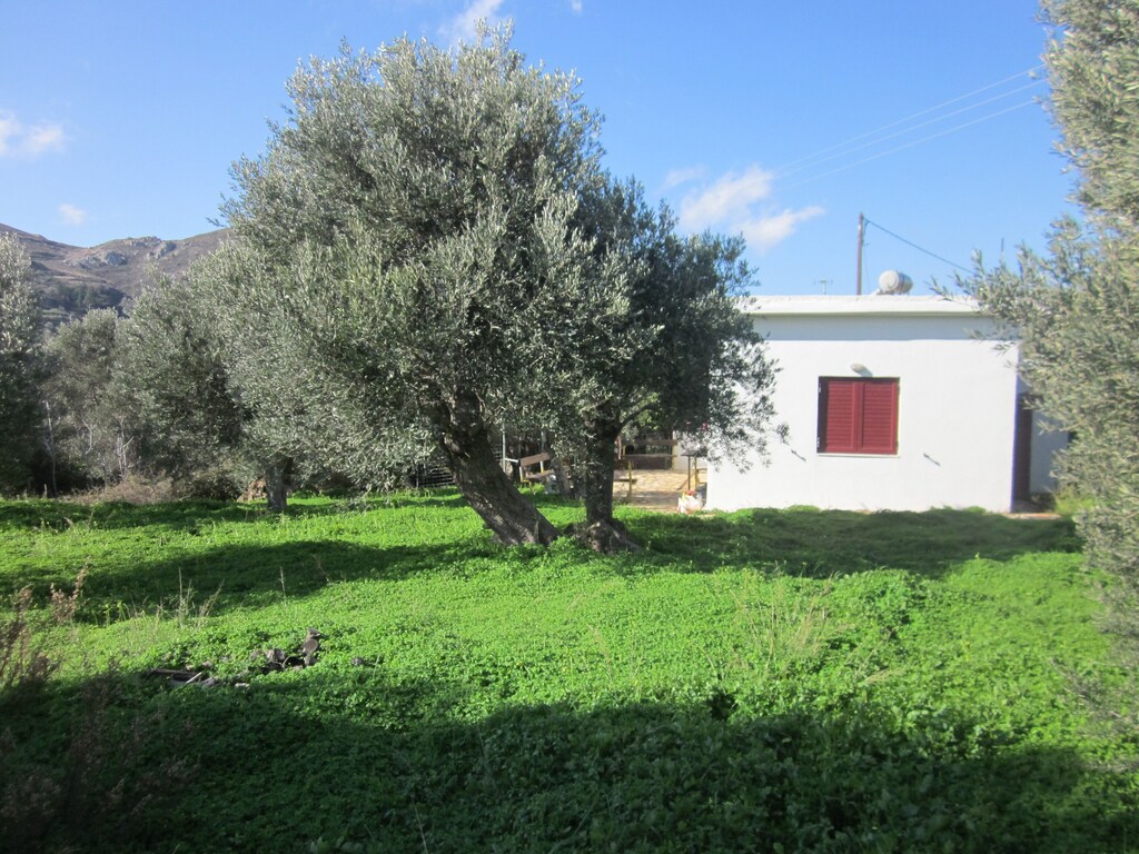 Picture of villa