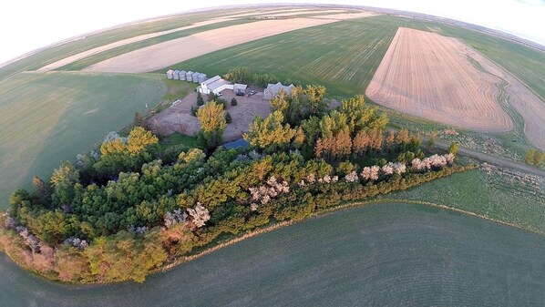 An overview of our property which includes our farm house and cabin.