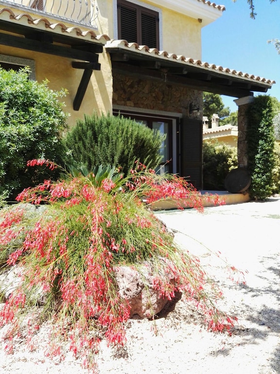 Picture of villa