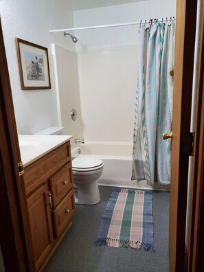 Lower Level full bath