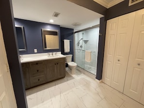 Newly Renovated Master Bathroom with Walk In Shower