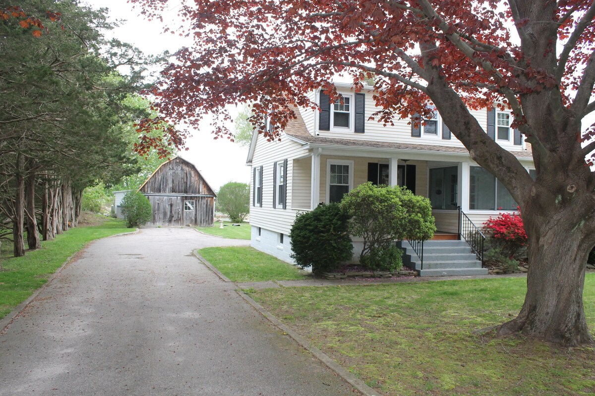 Main Image
