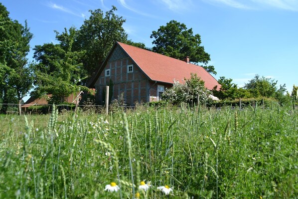 Ferienhaus große Borgstede