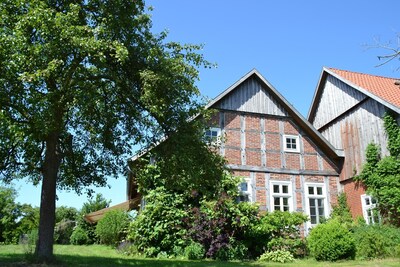Ansicht aus dem Garten